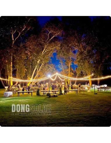 Electric String Lights 7.62m, 25 G40 1W Bulbs