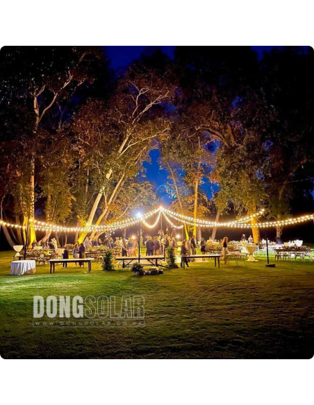 Electric String Lights 7.62m, 25 G40 1W Bulbs