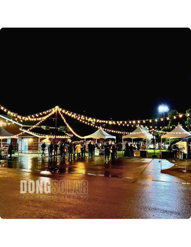 Electric String Lights 7.62m, 25 G40 1W Bulbs