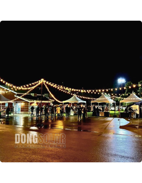 Electric String Lights 7.62m, 25 G40 1W Bulbs
