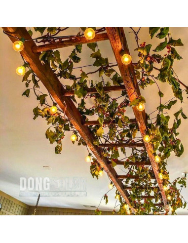 Electric String Lights 7.62m, 25 G40 1W Bulbs