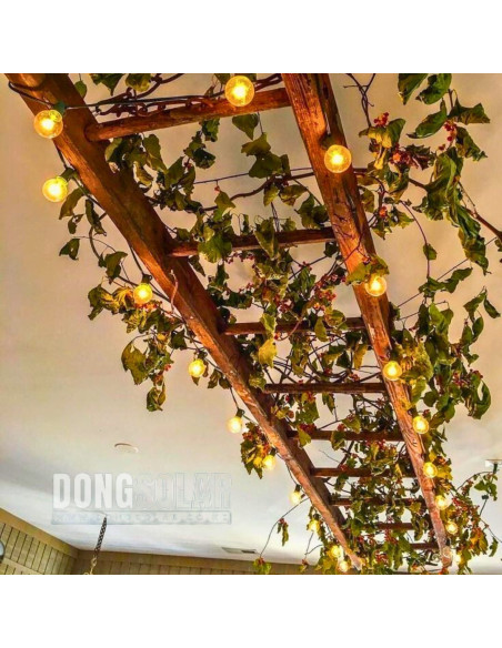 Electric String Lights 7.62m, 25 G40 1W Bulbs