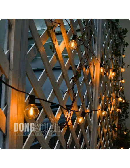 Electric String Lights 7.62m, 25 G40 1W Bulbs