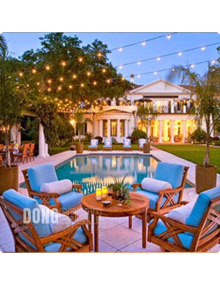 Electric String Lights 7.62m, 25 G40 1W Bulbs