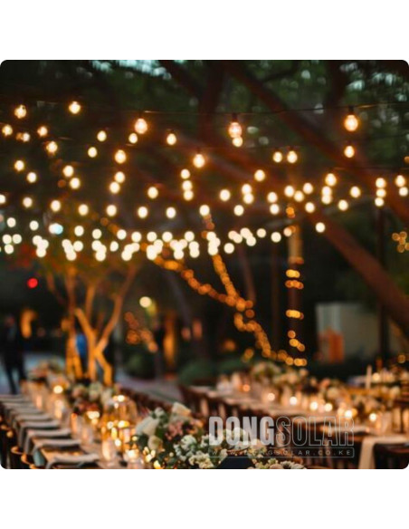 Electric String Lights 7.62m, 25 G40 1W Bulbs