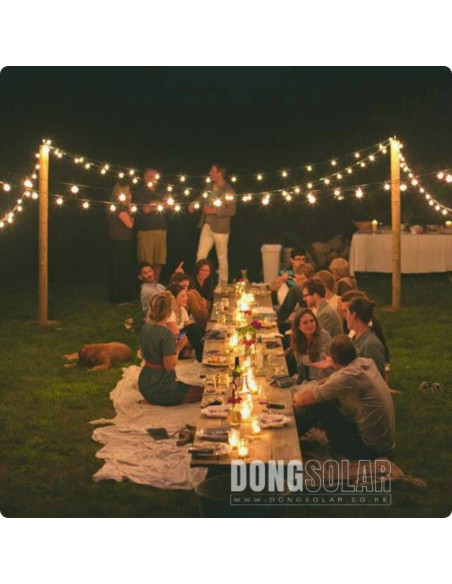 Electric String Lights 7.62m, 25 G40 1W Bulbs
