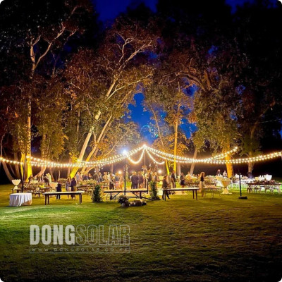 G40 Electric LED String Lights 7.62m 25Bulb