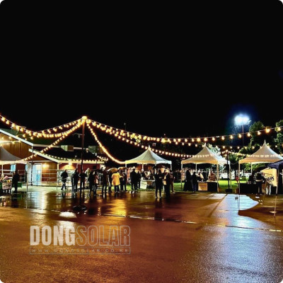 G40 Electric LED String Lights 7.62m 25Bulb