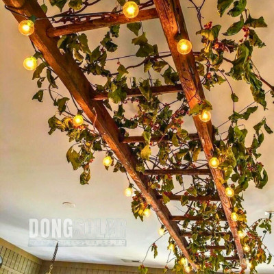 G40 Electric LED String Lights 7.62m 25Bulb