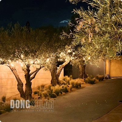 S14 2W 15m Electric String Lights 15Bulb 15meters Warm White 2200K