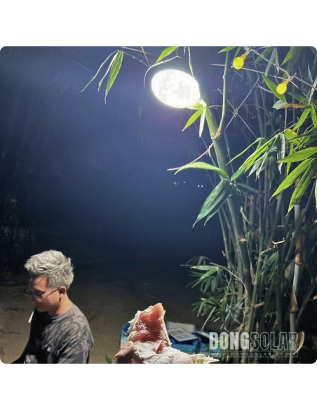 Solar Portable Lamp 4-in-1