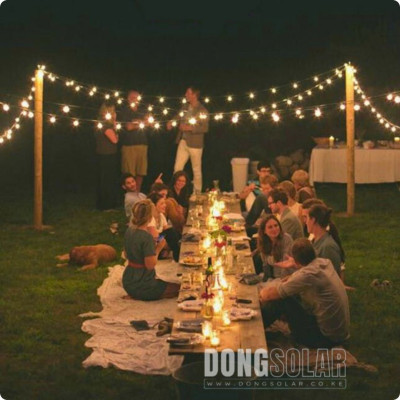 G40 Electric LED String Lights 7.62m 25Bulb