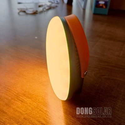 Portable Solar Lamps 4lamps in1 20aH