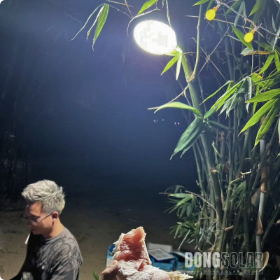 Portable Solar Lamps 4lamps in1 20aH