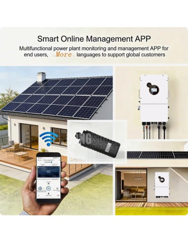 SRNE 12kW Hybrid Solar Inverter Three Phase | HESP48120SH3