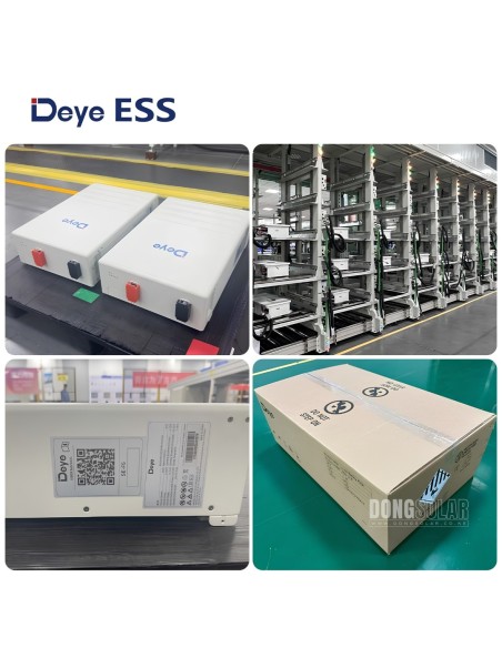 Deye SE-F5 5.12kWh 51.2V 100Ah LiFePO4 Battery | Dong Solar
