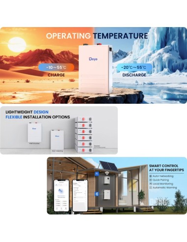 Deye SE-F5 5.12kWh 51.2V 100Ah LiFePO4 Battery | Dong Solar