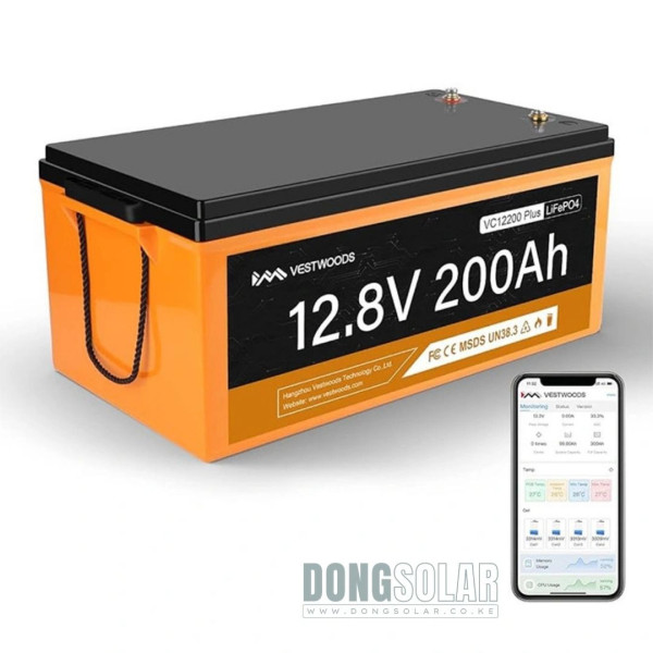 2.56KwH 200AH LiFePO4 Battery Vestwoods VC12200Plus 12V