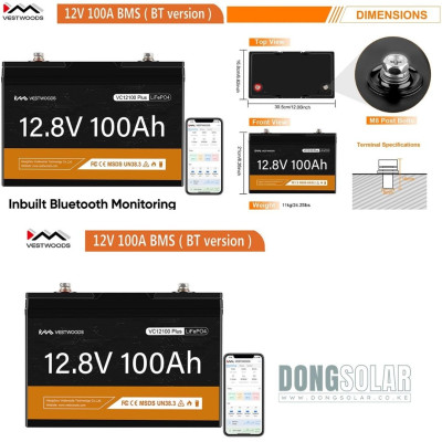 1.28KwH 100AH LiFePO4 Battery Vestwoods VC12100Plus 12v