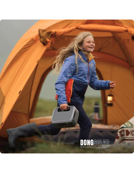 EcoFlow RIVER 3 Portable Power Station | 300W 245Wh