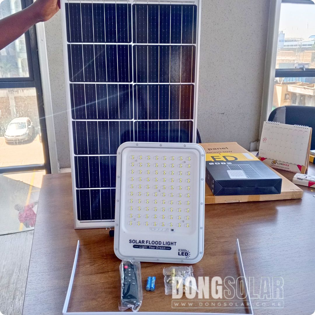 300W Solar Flood Light Daylight