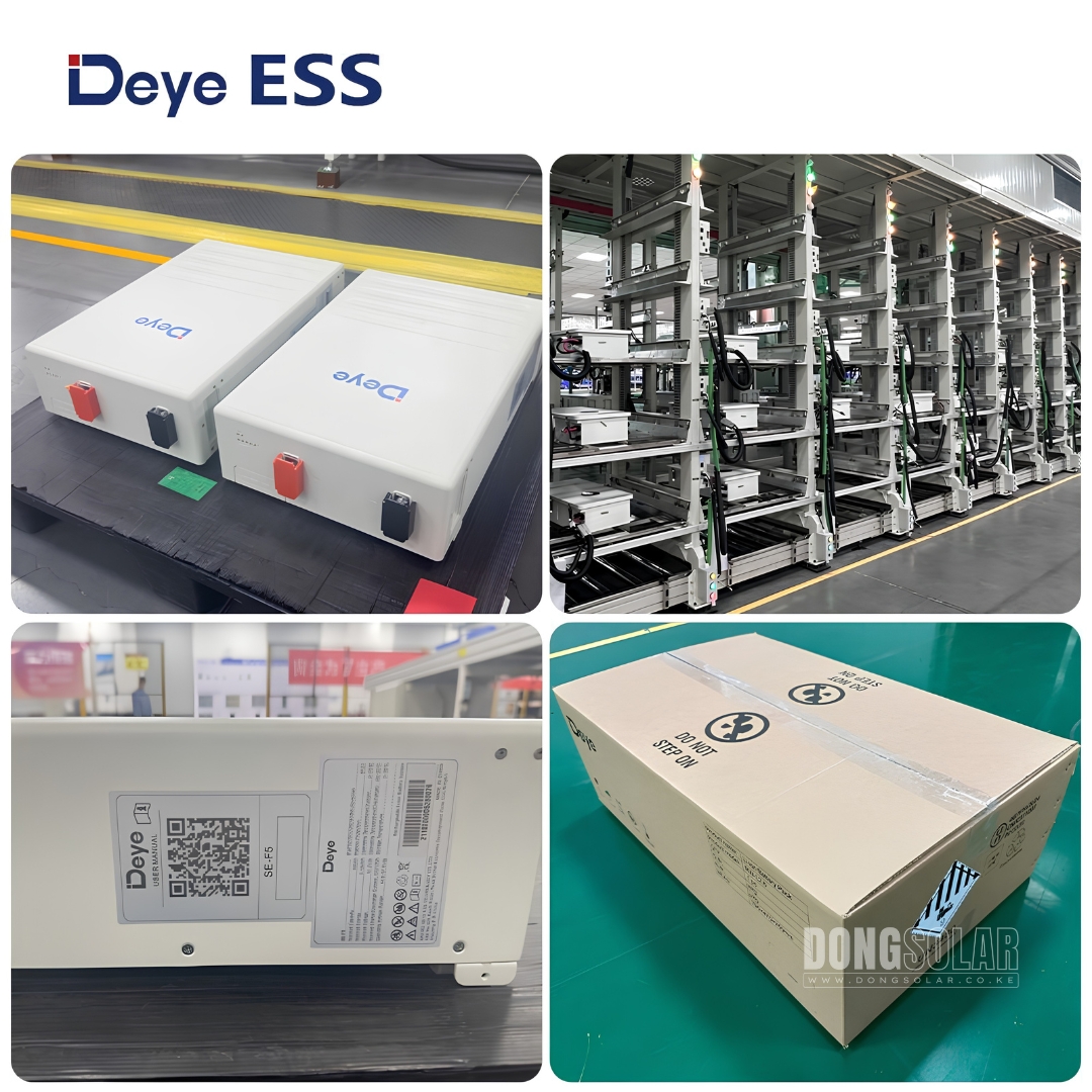 Deye SE-F5 5.12kWh 51.2V 100Ah LiFePO4 Battery | Dong Solar