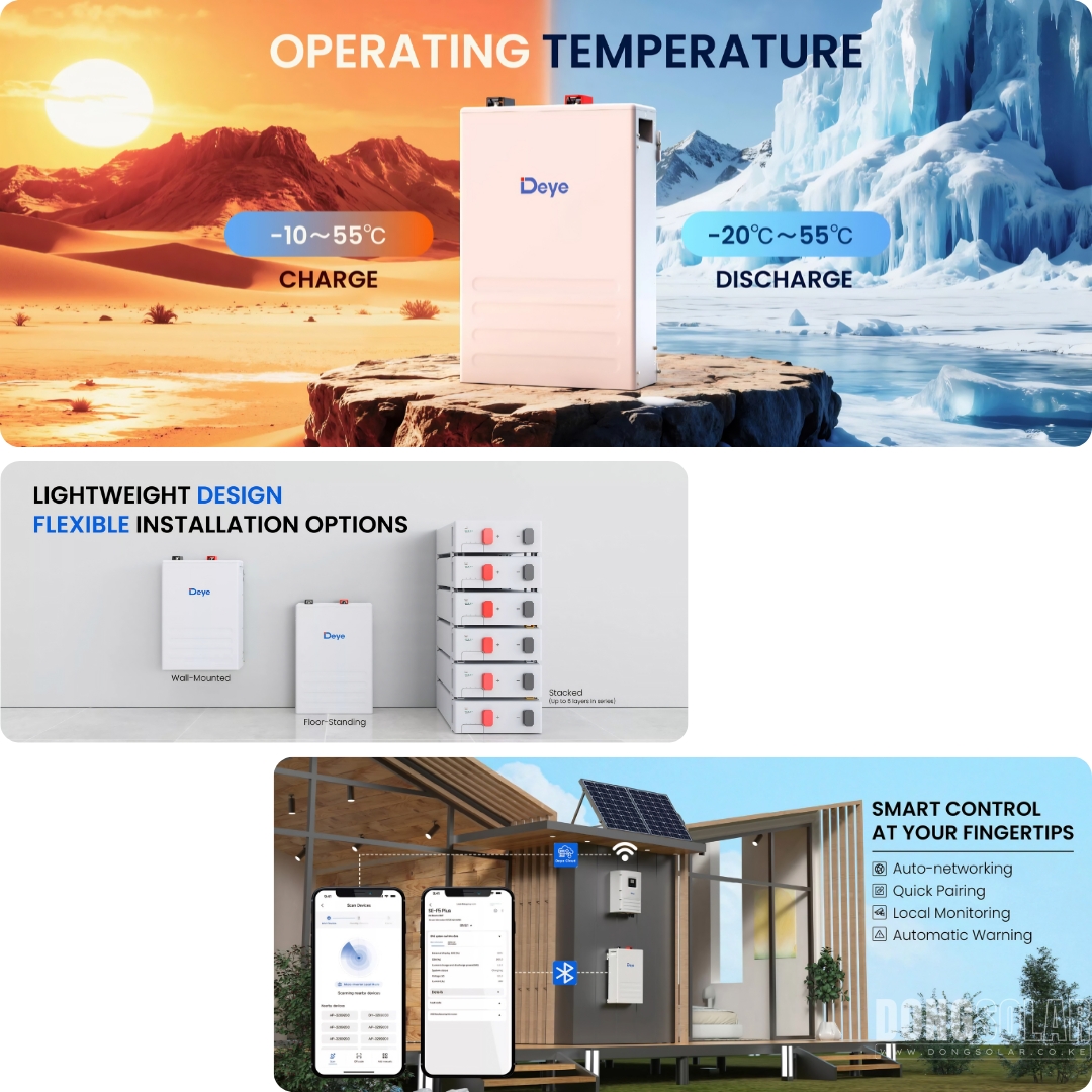 Deye SE-F5 5.12kWh 51.2V 100Ah LiFePO4 Battery | Dong Solar
