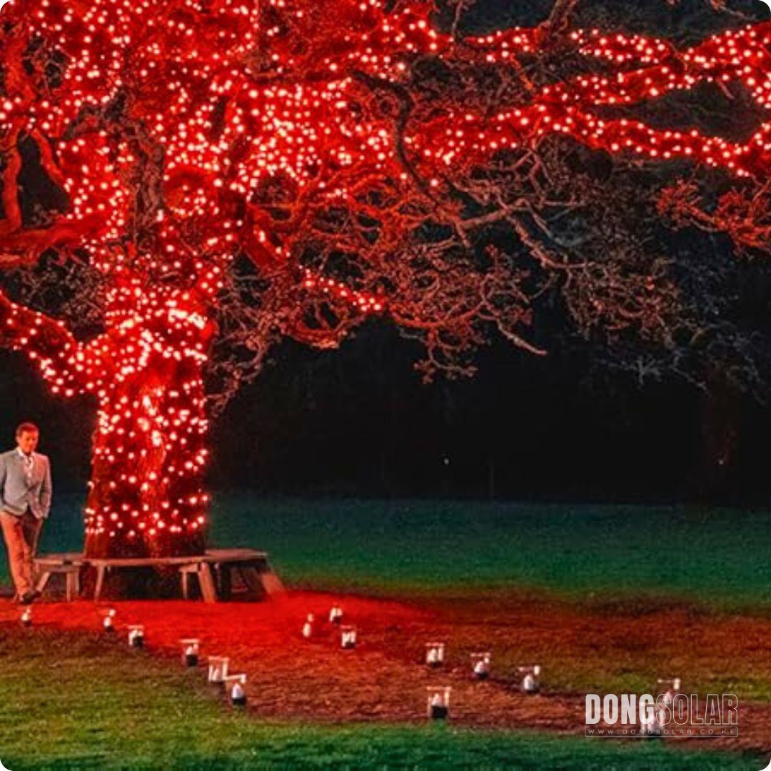 Electric Fairy String Light 102m 1,000LED RED