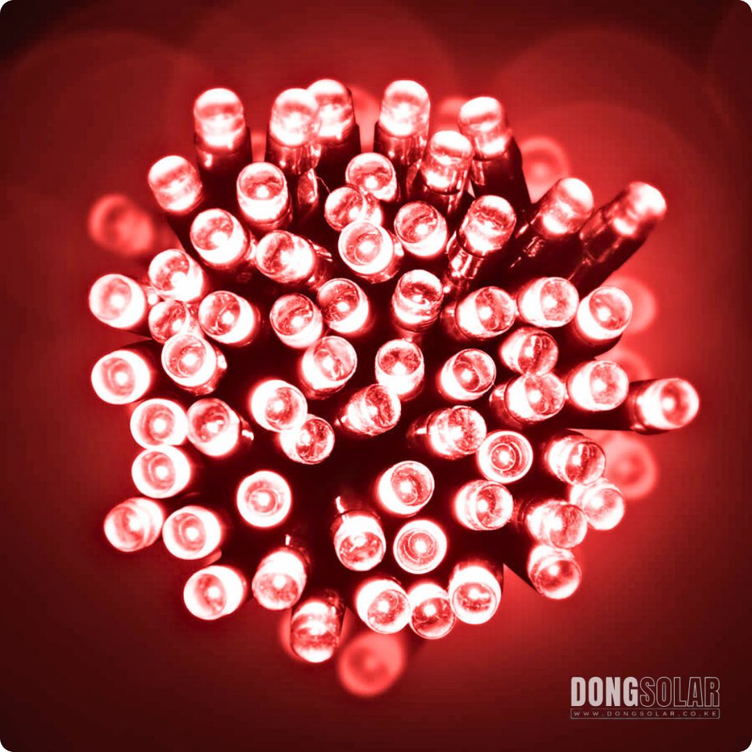 Electric Fairy String Light 102m 1,000LED RED