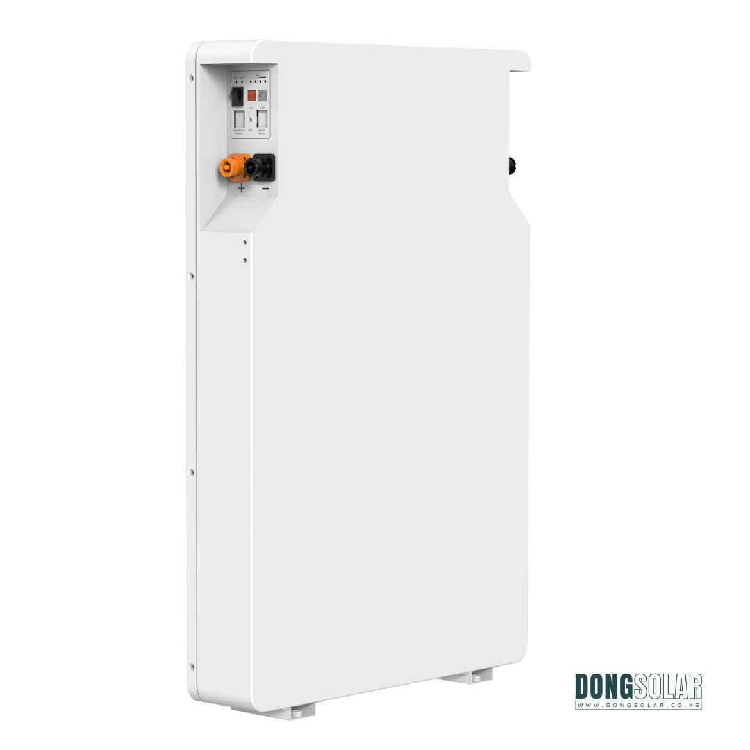 SRNE 5.12kWh 51.2V 100Ah Lithium LiFePO4 Battery EOS05B-Pro