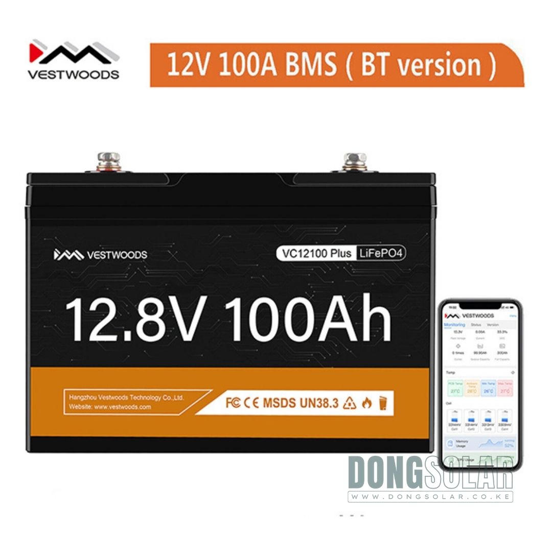 1.28KwH 100AH LiFePO4 Battery Vestwoods VC12100Plus 12v