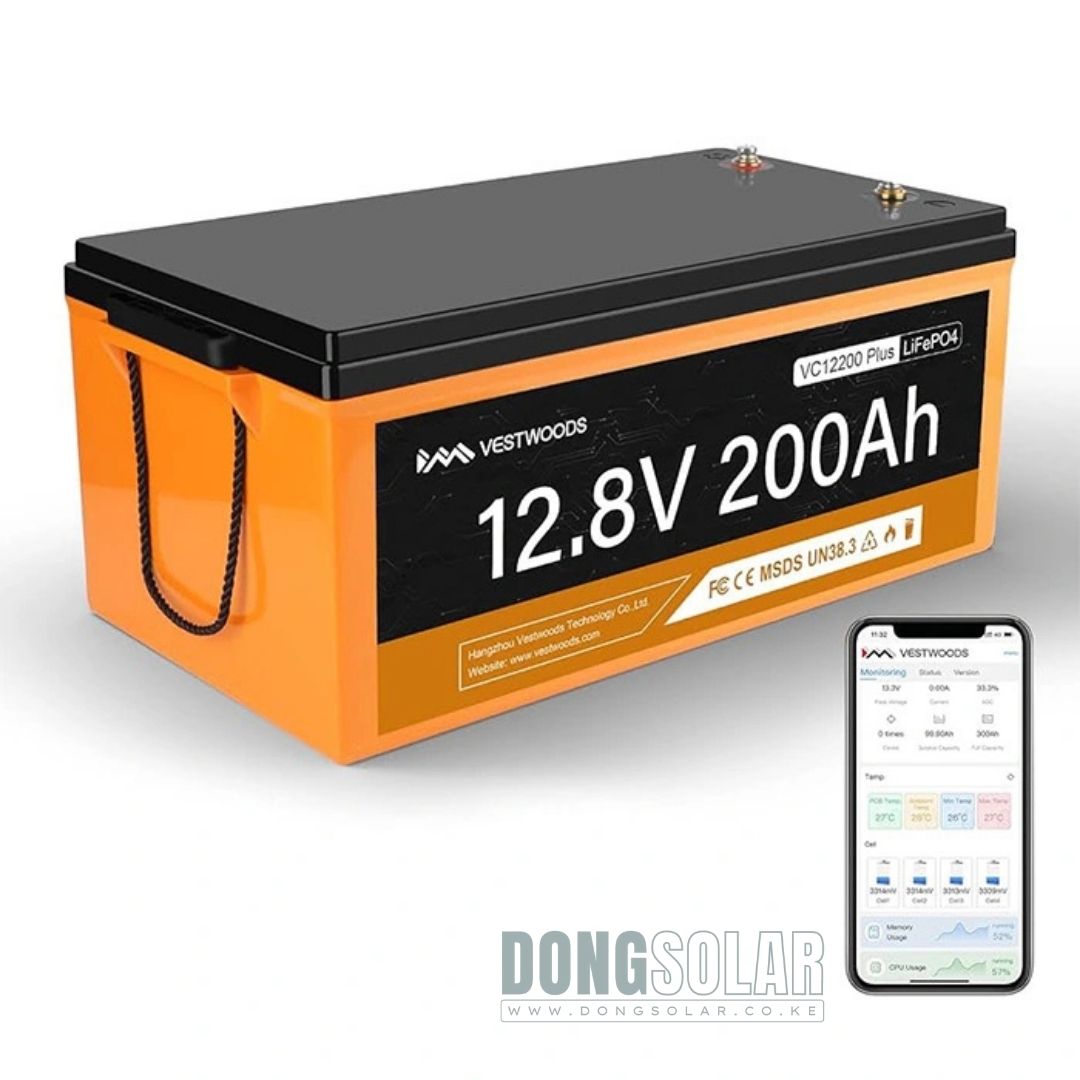 2.56KwH 200AH LiFePO4 Battery Vestwoods VC12200Plus 12V
