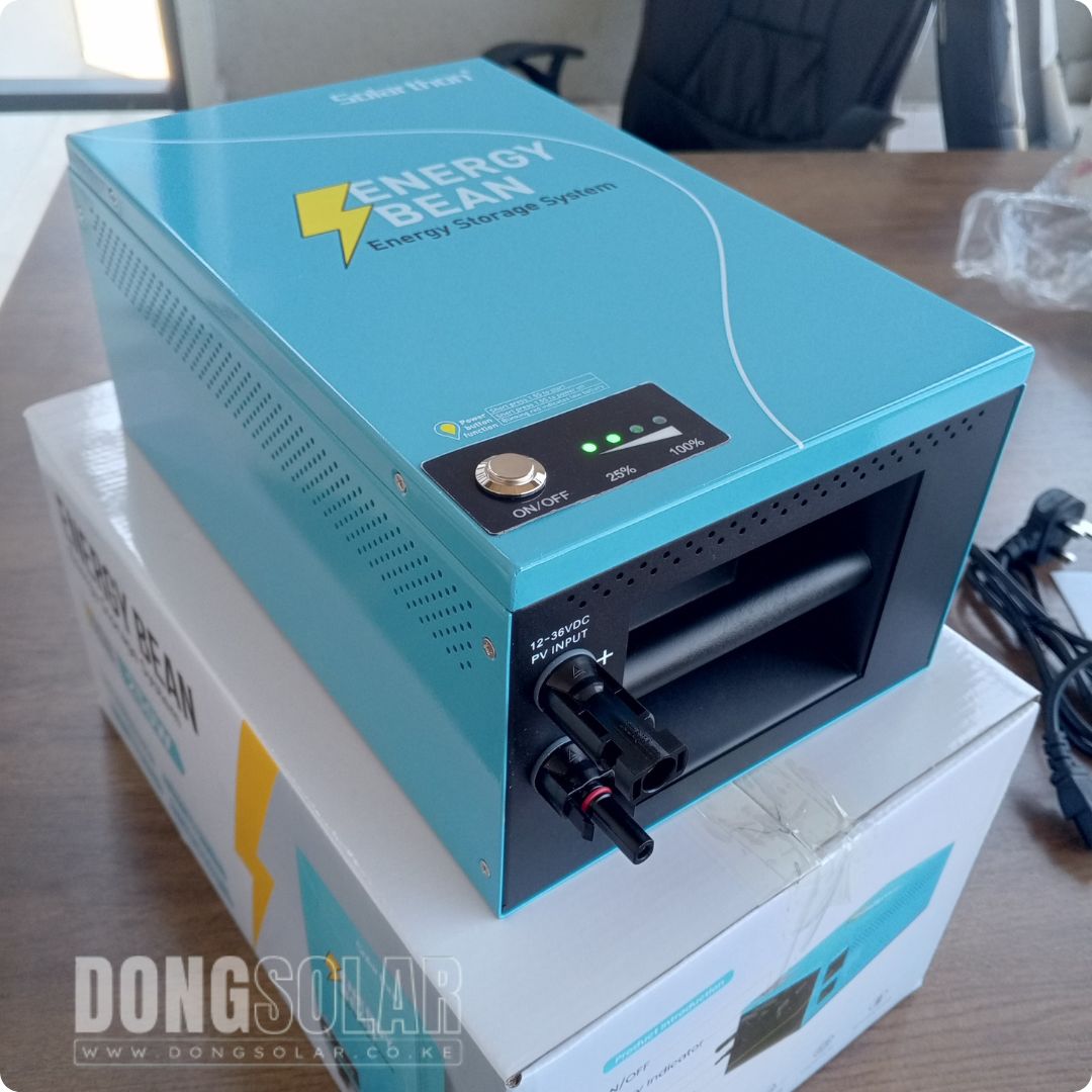 Solarthon 1000wH + 300W Solar Panel