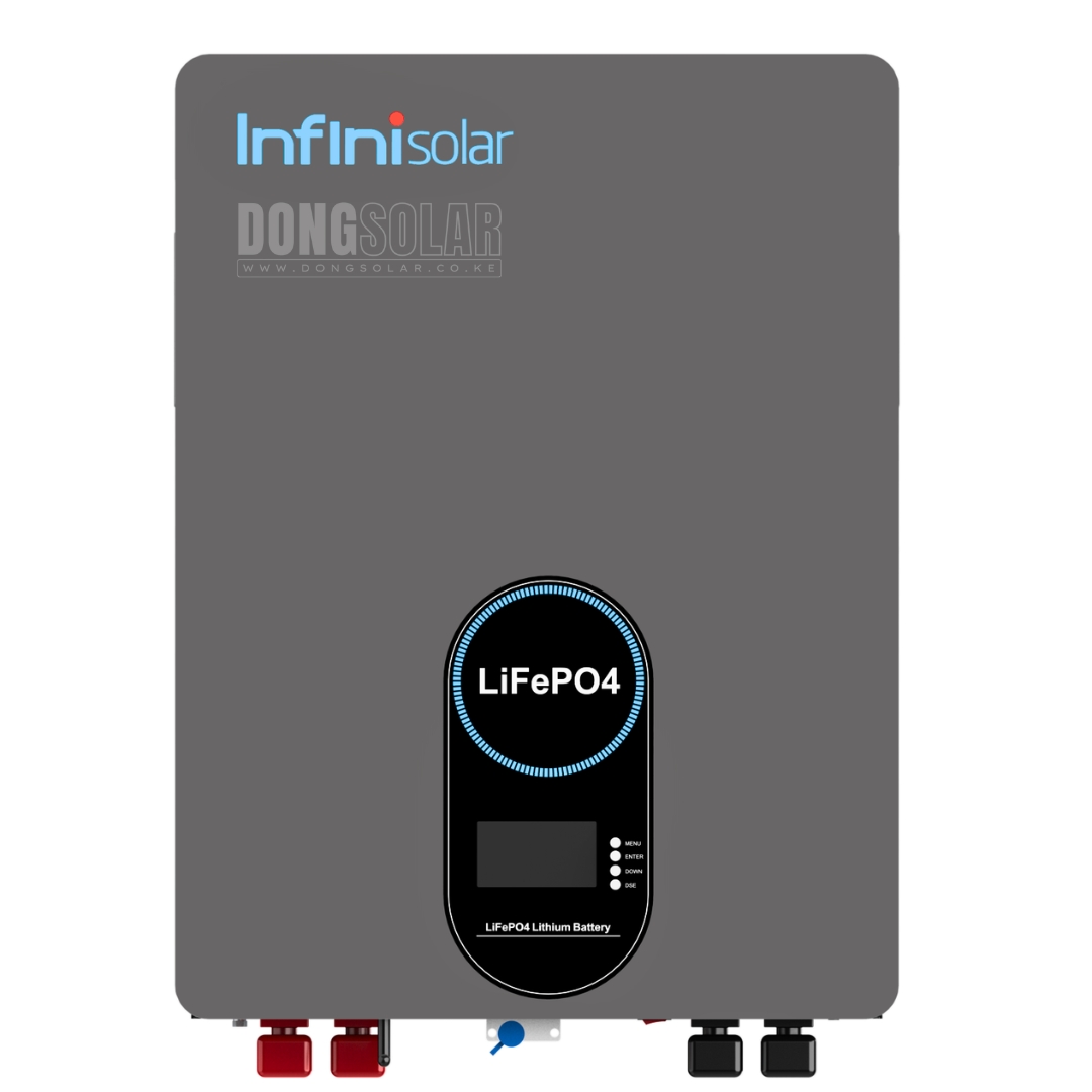 10.24kWh InfiniSolar  LiFePO4 Battery 51.2V 200Ah INF-LFP-48200